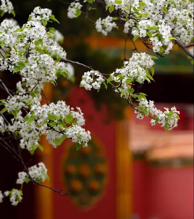 ���μ��š�ag8(�й�)����-ֻ���ͬ����