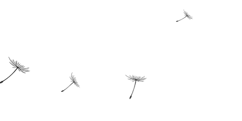 640?wx_fmt=gif 图片