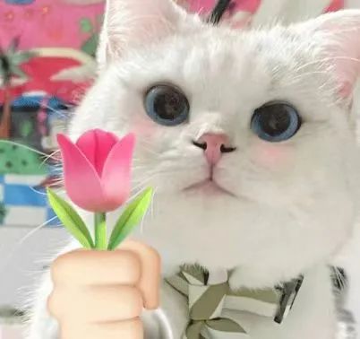 ���μ��š�ag8(�й�)����-ֻ���ͬ����